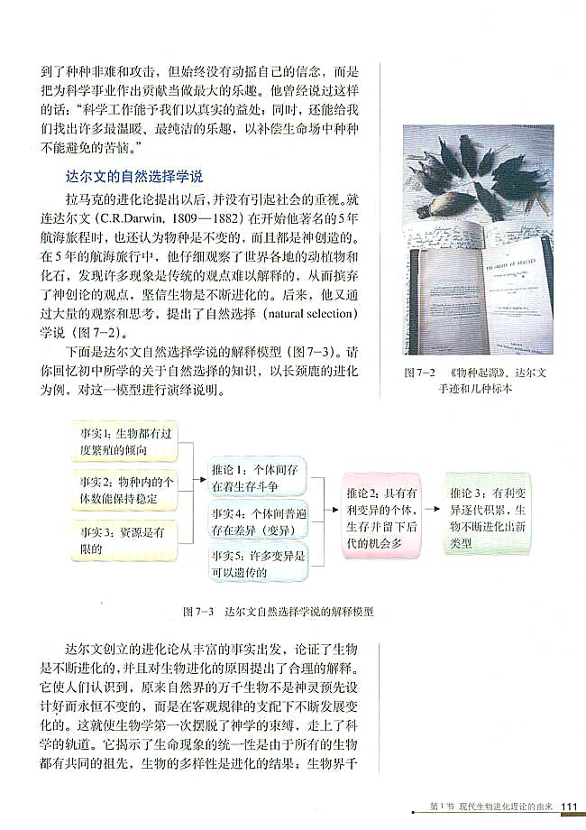 第1节 现代生物进化理论的由来(第111页)