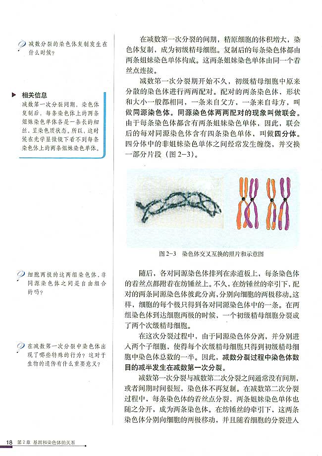 第1节 减数分裂和受精作用 一 减数分裂(第18页)