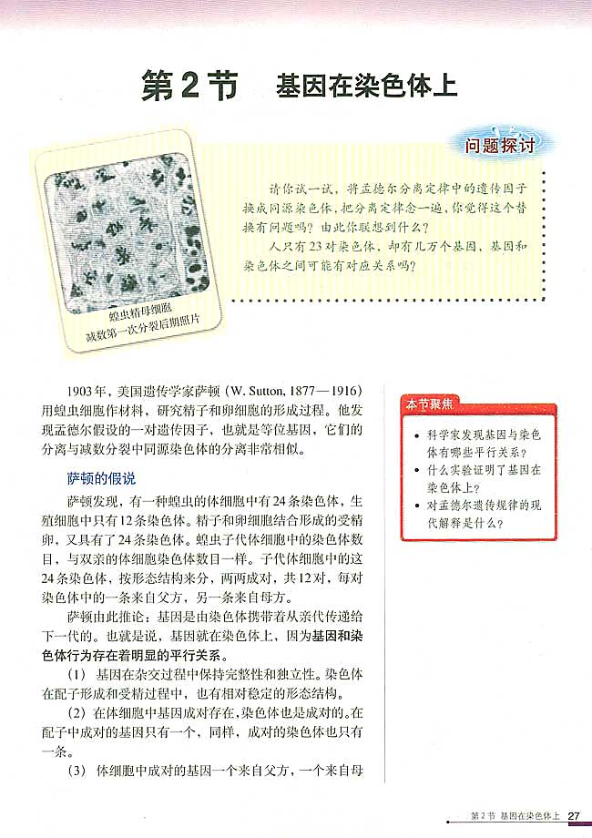 第2节 基因在染色体上(第27页)