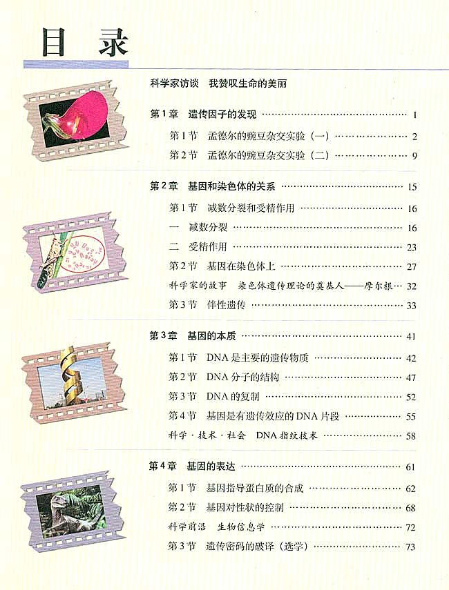 封面/前言/目录