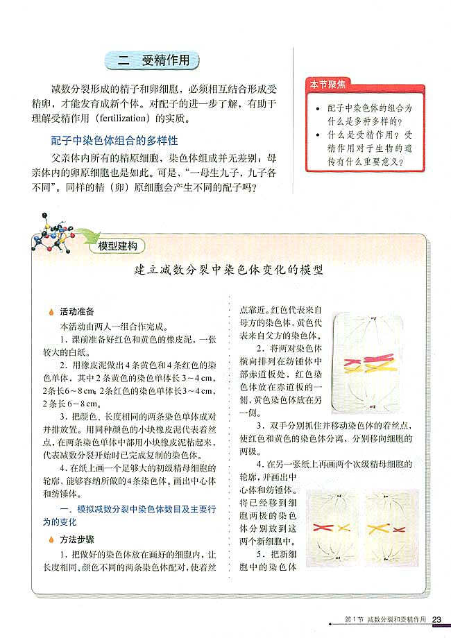 二 受精作用(第23页)