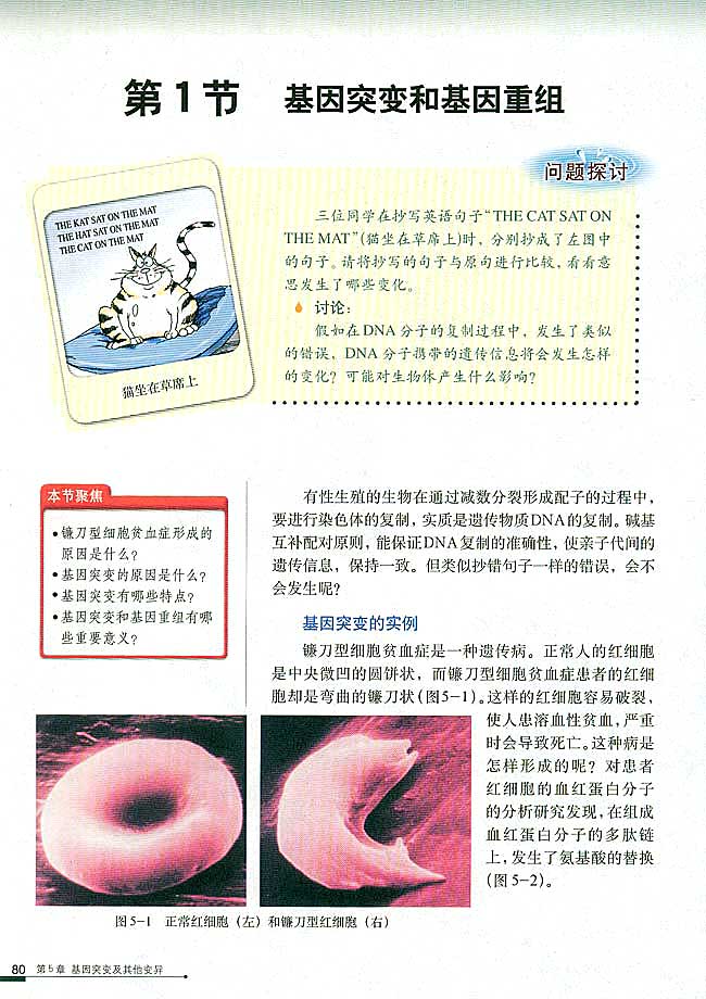 第1节 基因突变和基因重组(第80页)