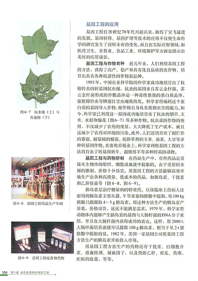 第2节 基因工程及其应用(第104页)