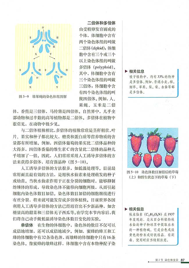 第2节 染色体变异(第87页)
