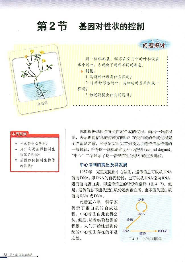 第2节 基因对性状的控制(第68页)