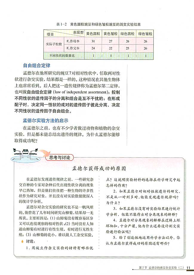 第2节 孟德尔的豌豆杂交实验（二）(第11页)