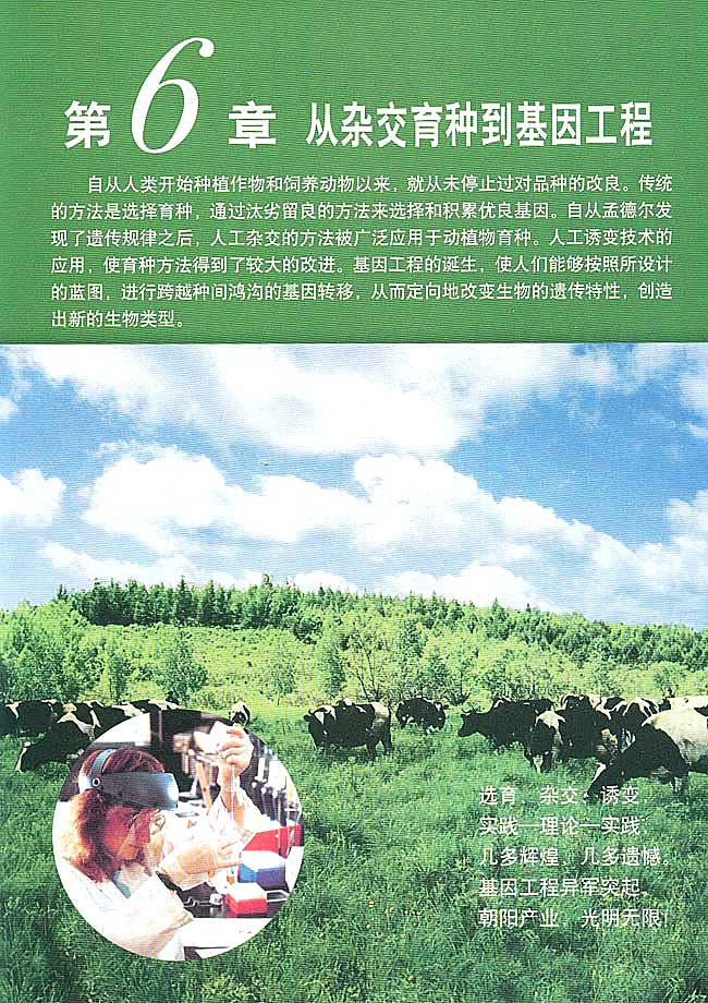 第6章 从杂交育种到基因工程(第97页)