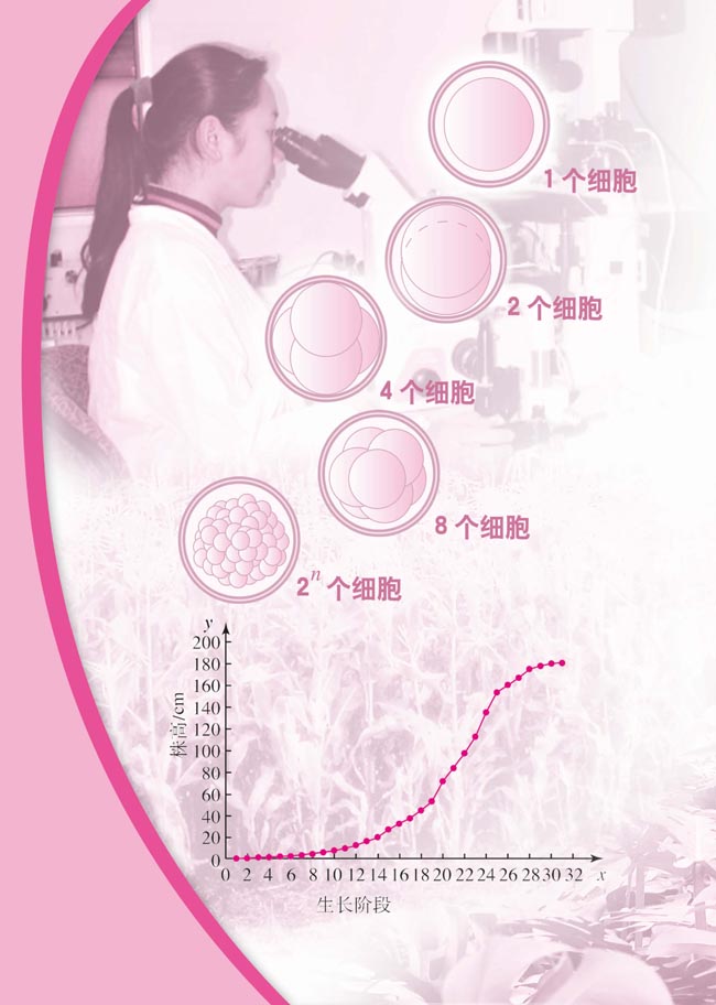 函数概念的形成与发展(第83页)