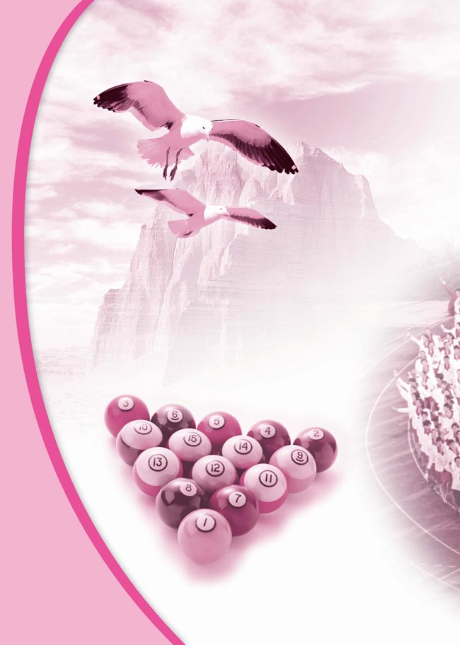 封面/前言/目录(第1页)