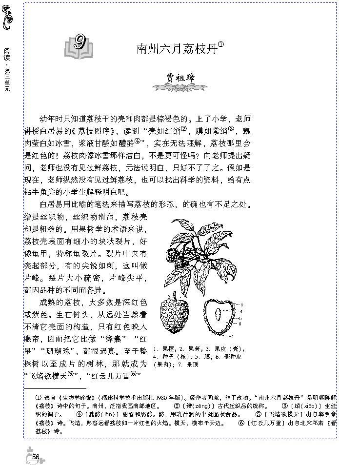 9 南州六月荔枝丹(第60页)