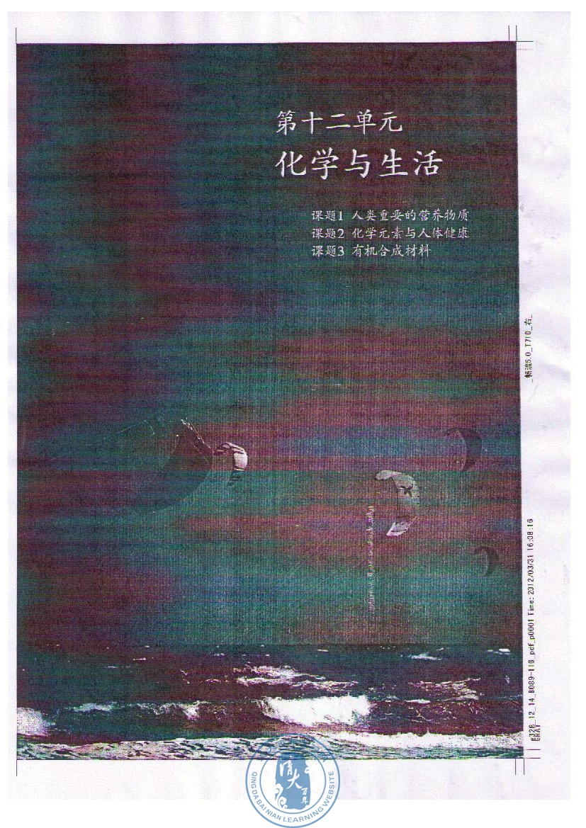 第十二单元 化学与生活(第89页)