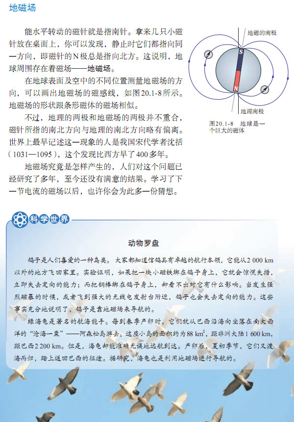 第1节 磁现象 磁场(第115页)