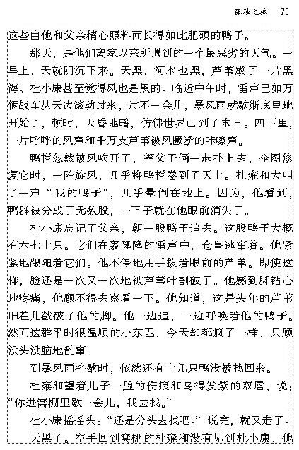 10 孤独之旅(第74页)