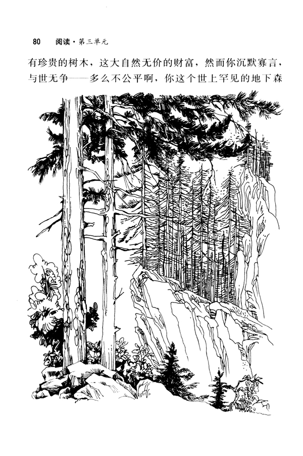 11 地下森林断想(第80页)