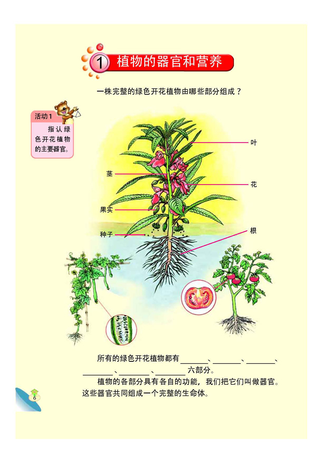 1 植物的器官和营养(第7页)