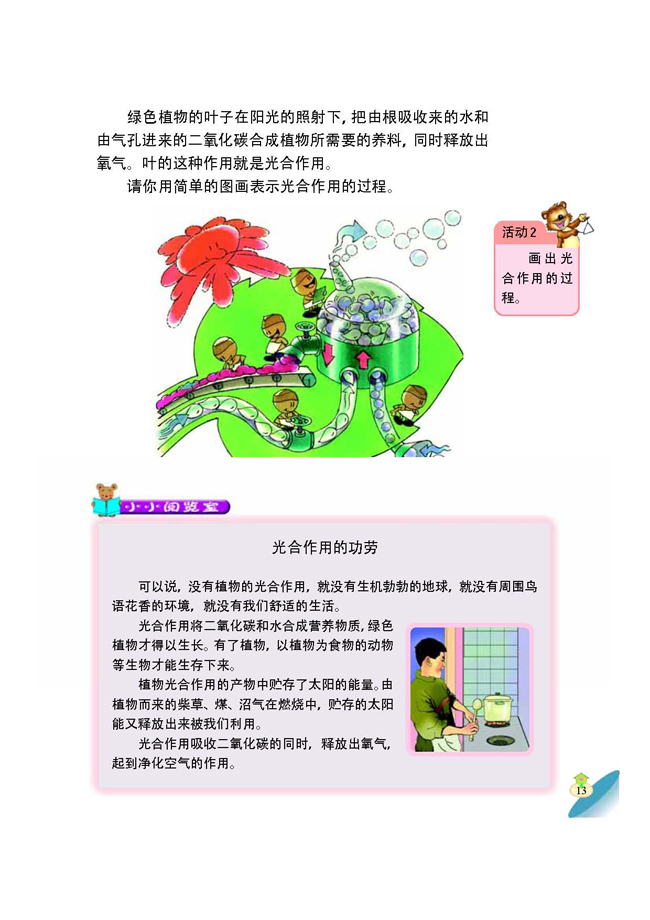 3 植物的光合作用(第13页)