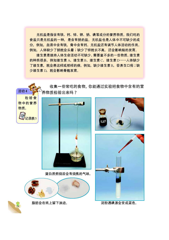 2 食物在人体内的旅行(第24页)