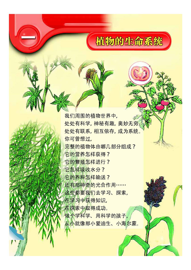 一 植物的生命系统(第5页)