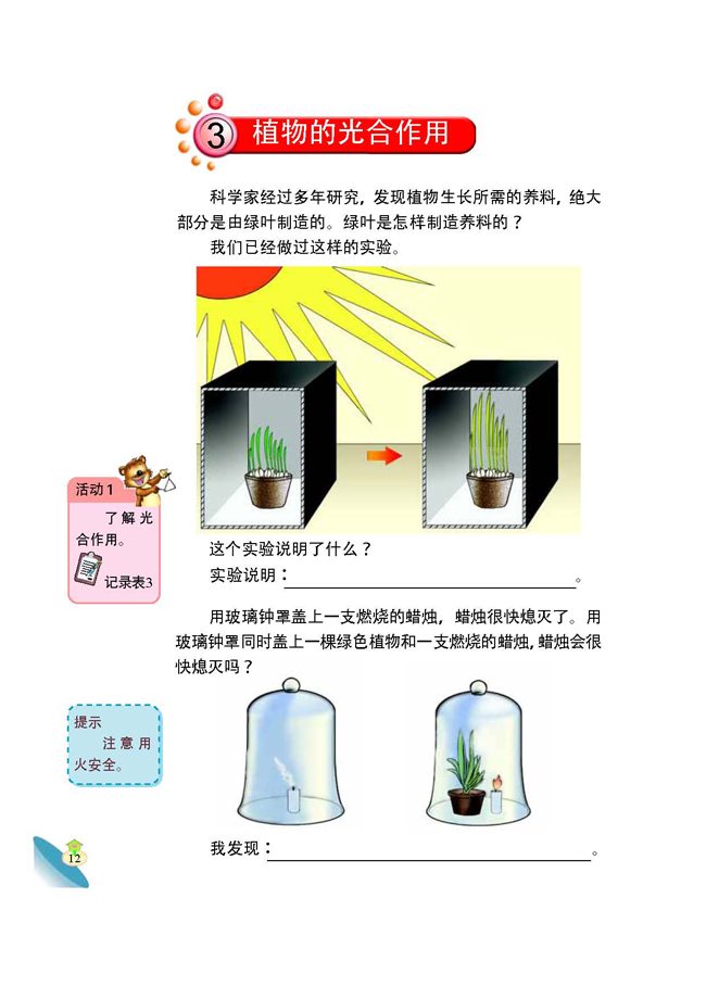 3 植物的光合作用(第12页)