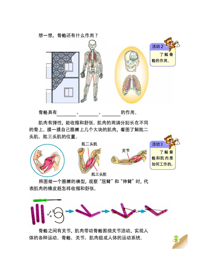 1 骨骼和肌肉(第21页)