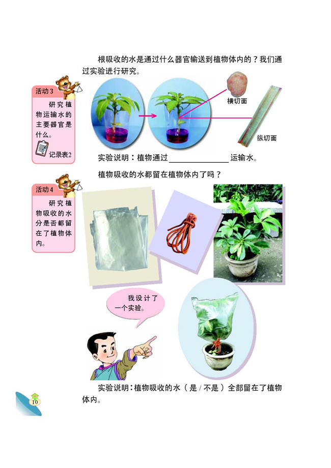 2 植物怎样吸收和运输水(第11页)