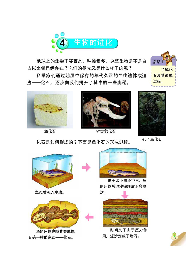 4 生物的进化(第33页)