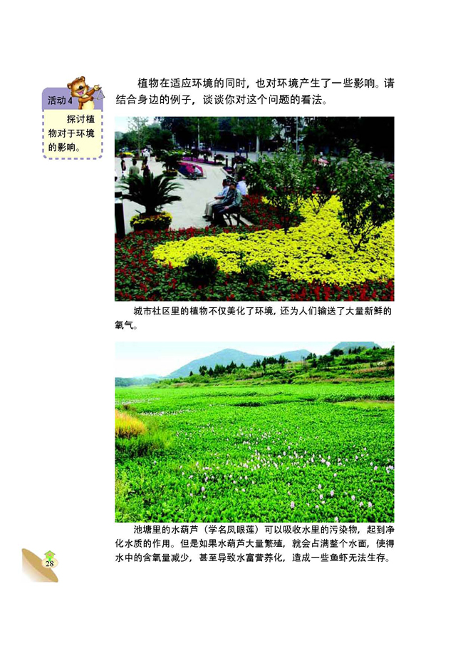 2 植物与环境(第28页)