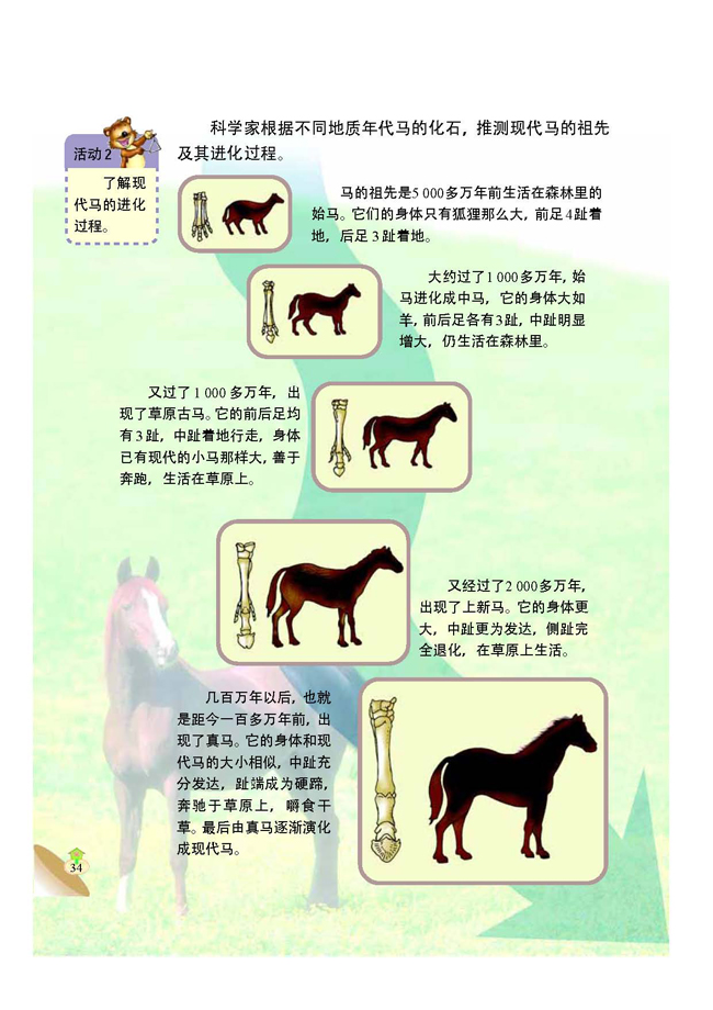 4 生物的进化(第34页)