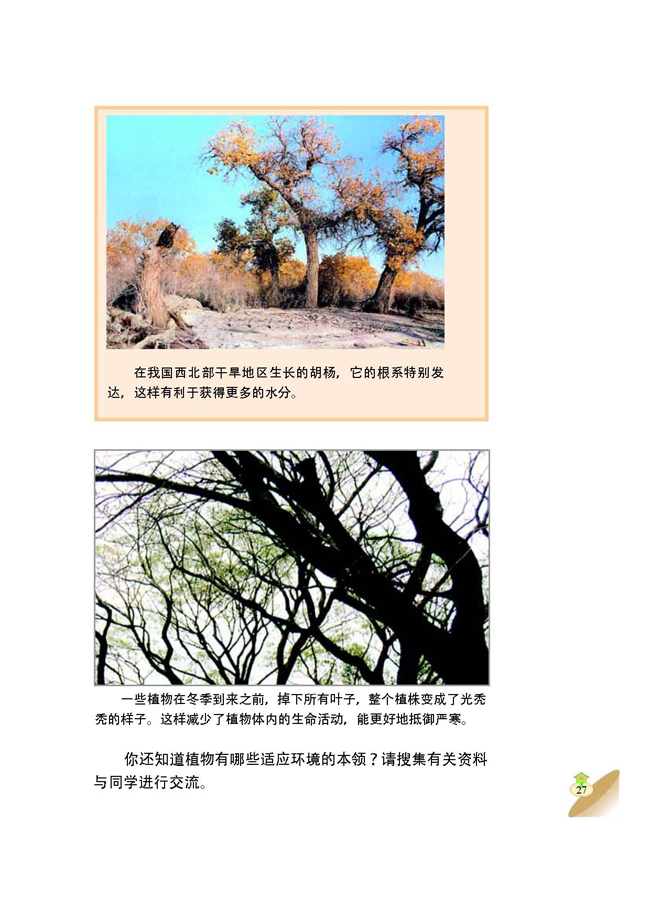 2 植物与环境(第27页)