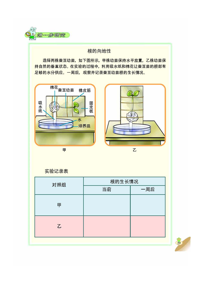 2 植物与环境(第29页)