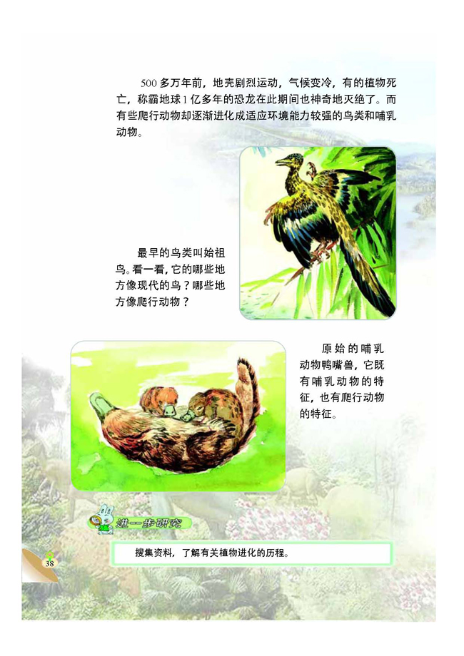 4 生物的进化(第38页)