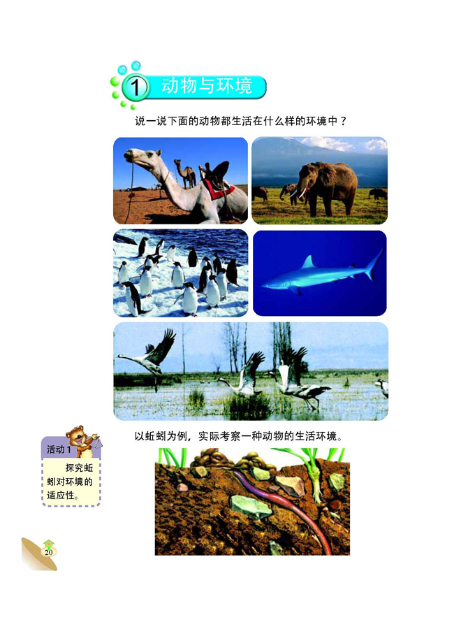 1 动物与环境(第20页)