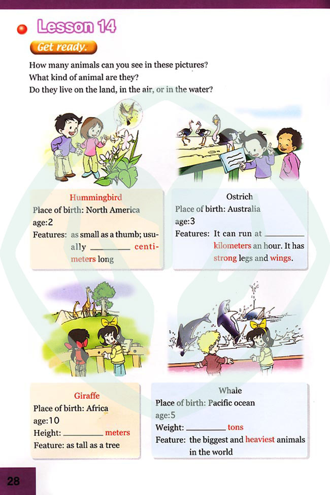 新起点小学六年级英语上册lesson14