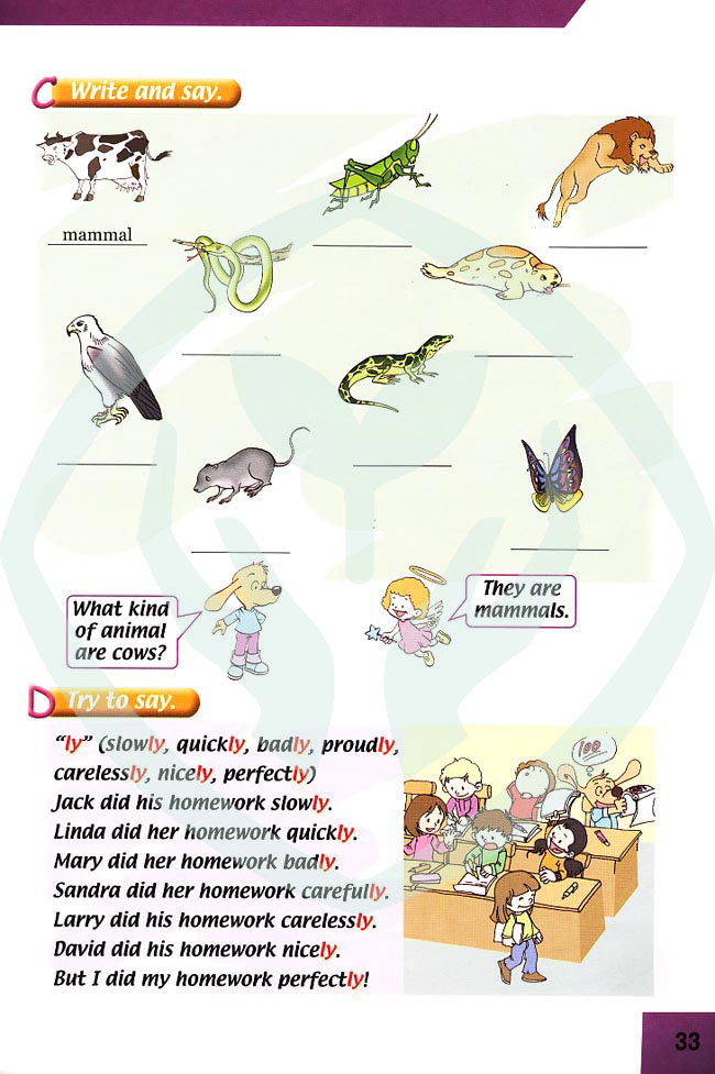 新起点小学六年级英语上册lesson16