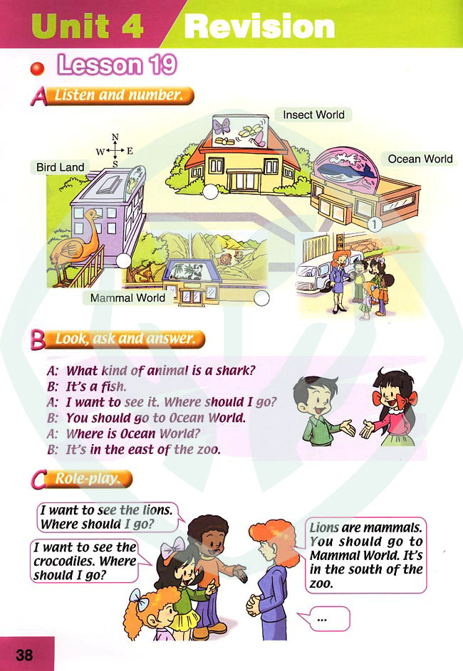 新起点小学六年级英语上册lesson19