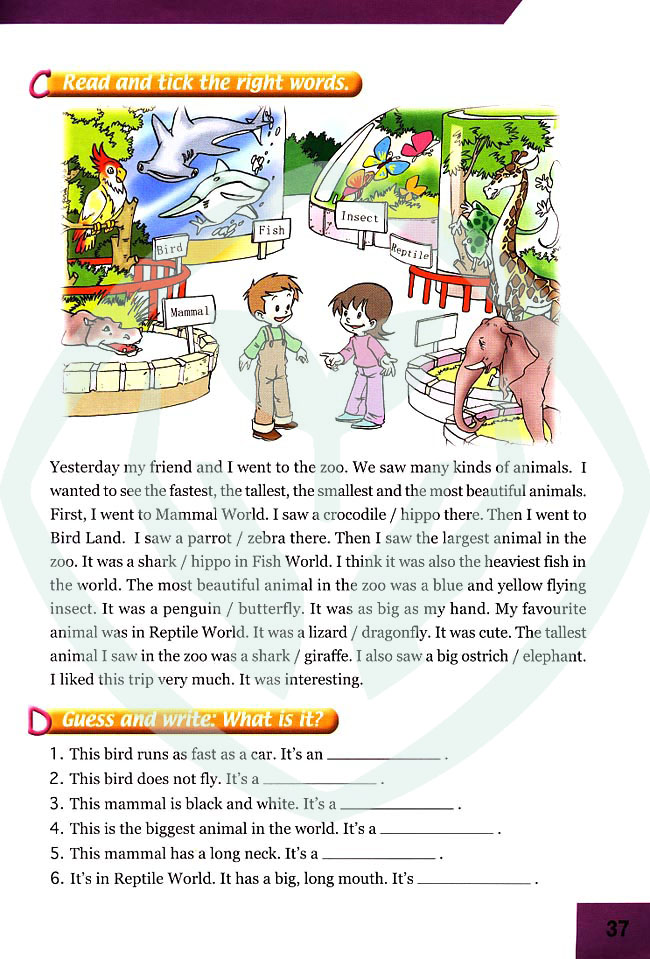 新起点小学六年级英语上册lesson18