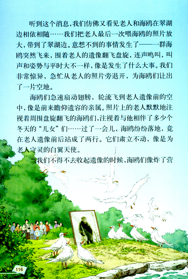 21 老人与海鸥(第116页)