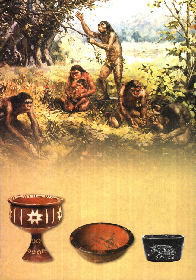 封面/前言/目录