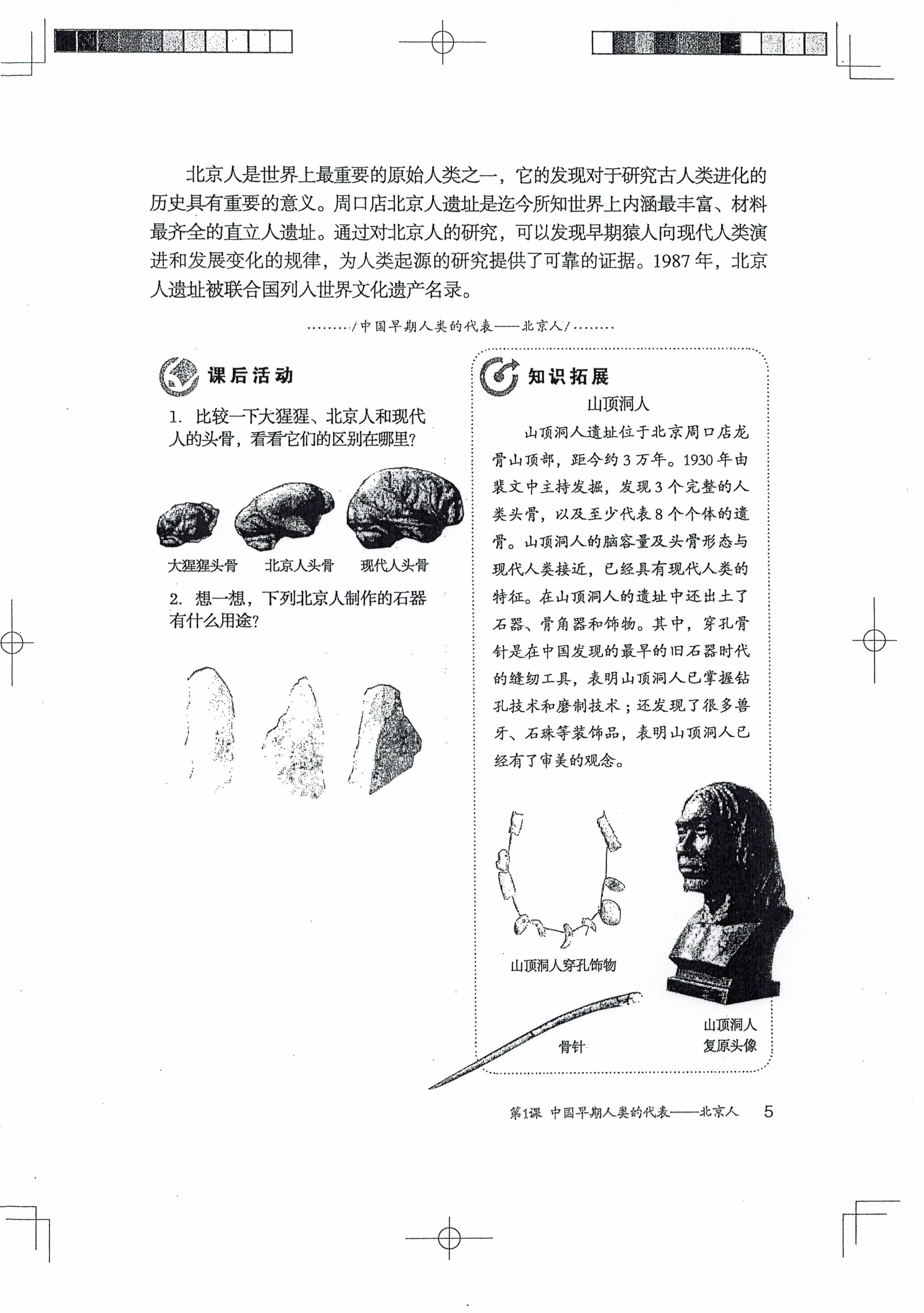 第1课 中国早期人类的代表――北京人(第5页)