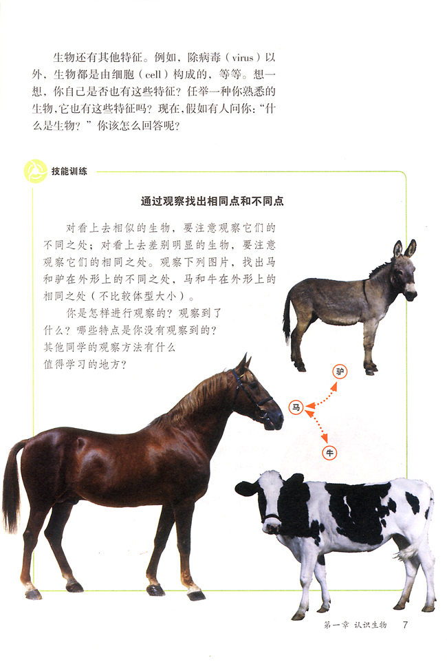 第一节 生物的特征(第6页)