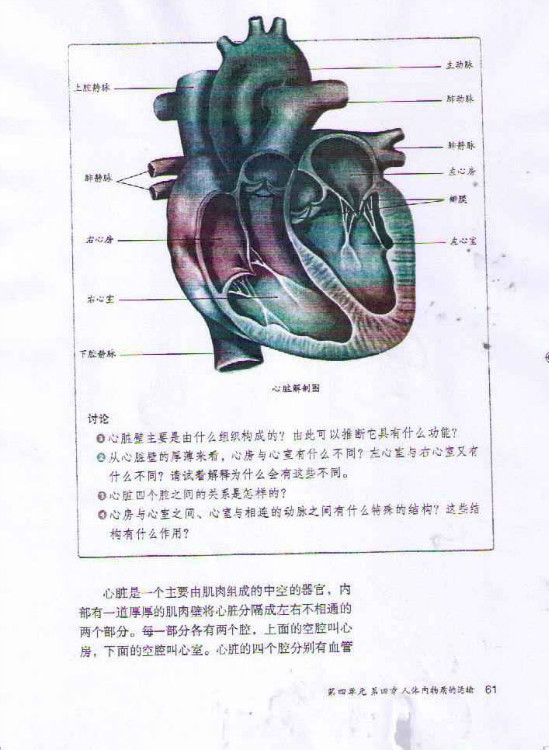 第三节 输送血液的泵──心脏(第61页)