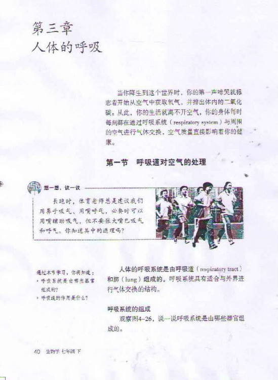 第一节 呼吸道对空气的处理(第40页)