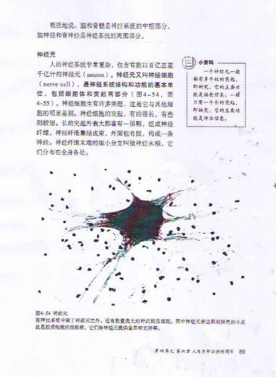 第二节 神经系统的组成(第89页)