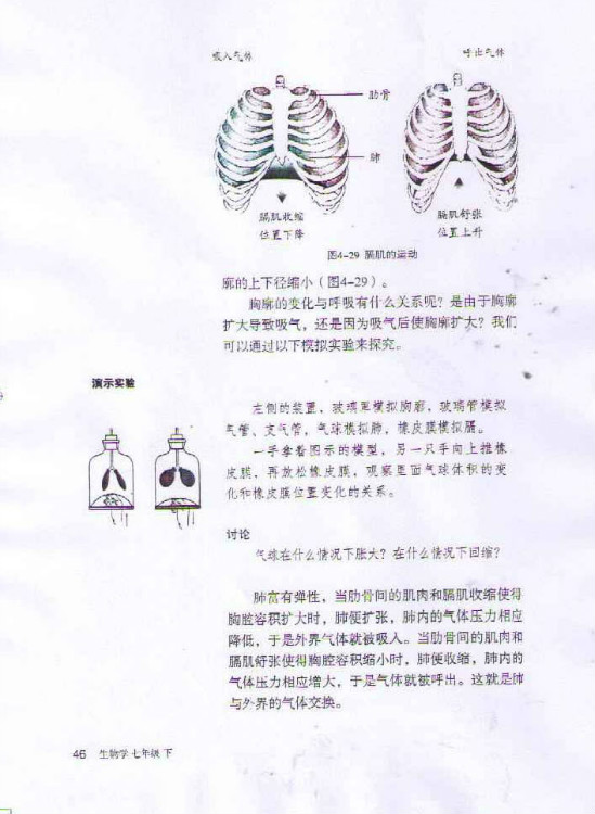 第二节 发生在肺内的气体交换(第46页)