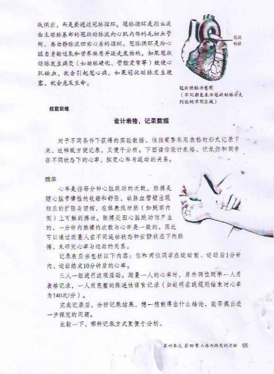 第三节 输送血液的泵──心脏(第65页)