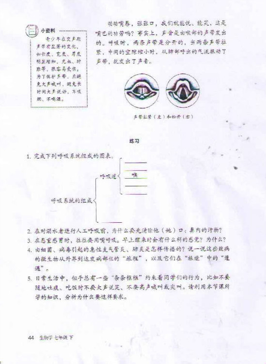 第一节 呼吸道对空气的处理(第44页)