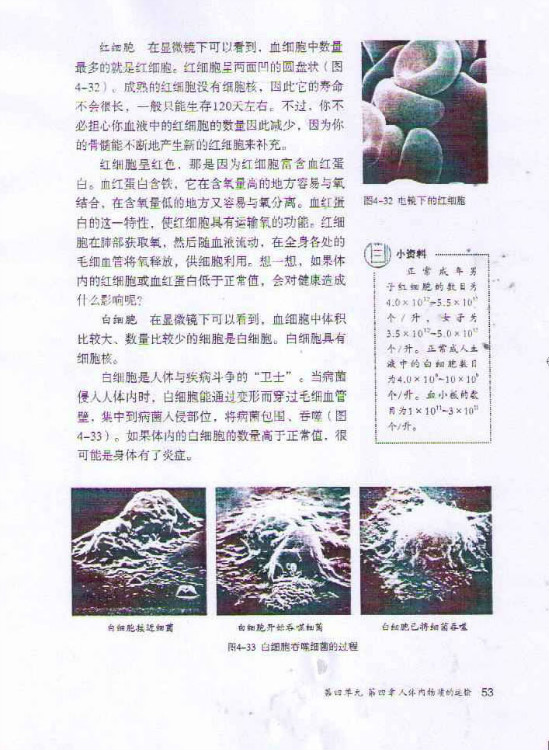 第一节 流动的组织──血液(第53页)