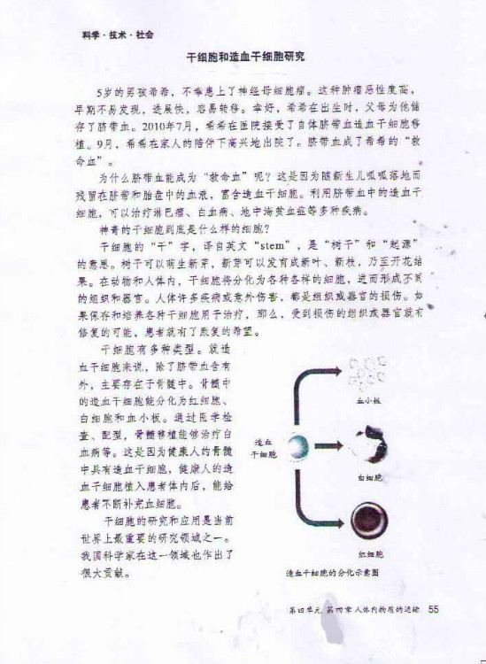 第一节 流动的组织──血液(第55页)