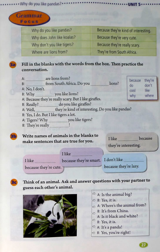 5 Why do you(第27页)