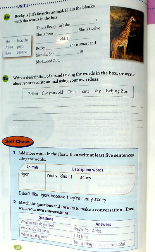 5 Why do you(第30页)